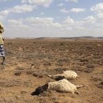 13 Juta Orang di Afrika Terancam Mati Kelaparan Akibat Kekeringan