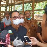 Kadisnak Aceh: 46.876 Ternak Sembuh dari PMK