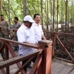 Pj Gubernur: Hutan Mangrove, Menjaga Keanekaragaman Hayati Hingga Sarana Edukasi