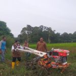 Para Petani di Aceh Mulai Perbaiki Pola Tanam
